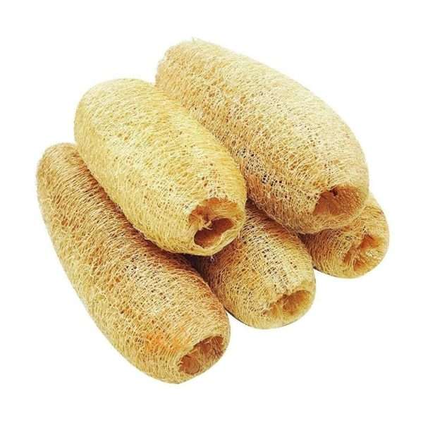 Body Scrubbers (Pack of 5) Natural Organic Loofah Body Scrubbers for Bathing